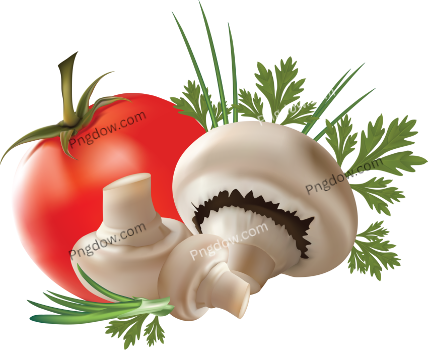 Free Mushroom PNG images