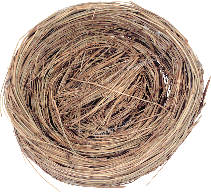 Nest PNG for free download