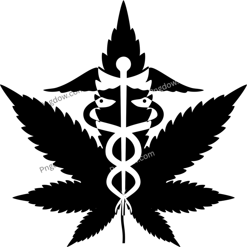 Cannabis Png transparent background for free (14)