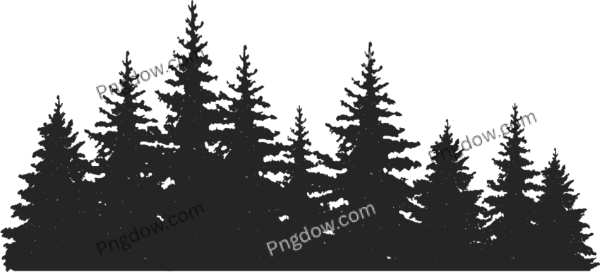 Forest PNG for commercial use