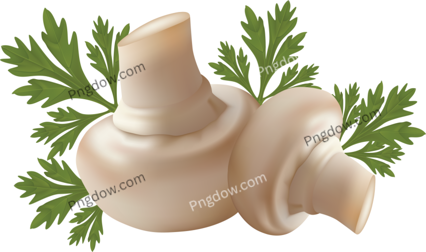 Free download Mushroom flower images