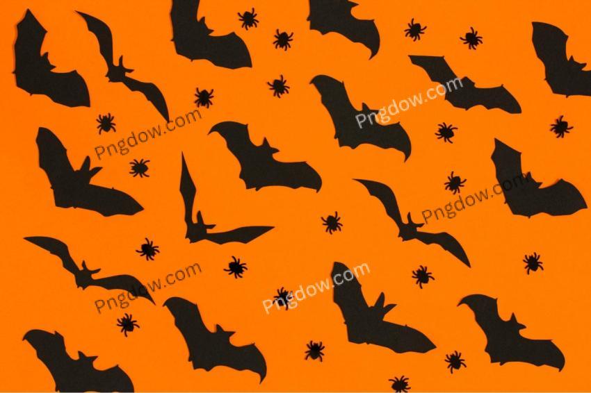 Halloween background high quality image