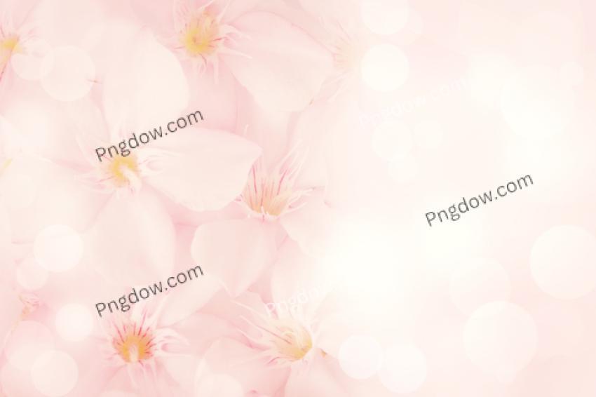 Pink flower background free