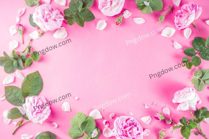Pink pattern background with roses