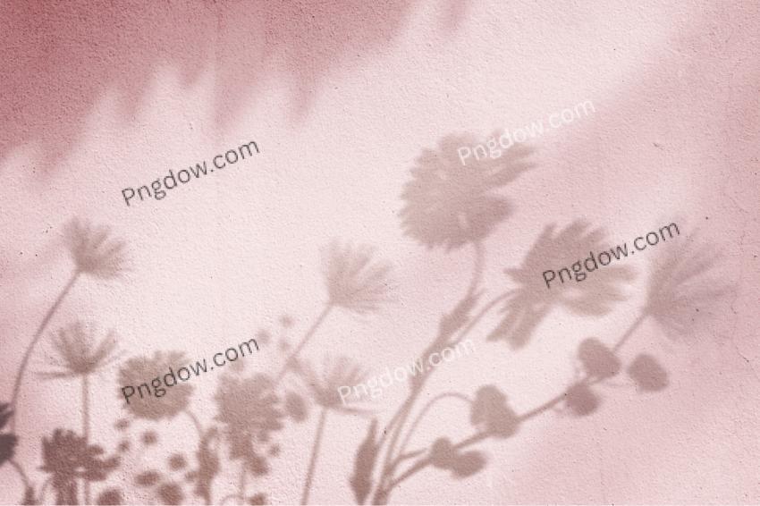 Pink background with floral field shadow