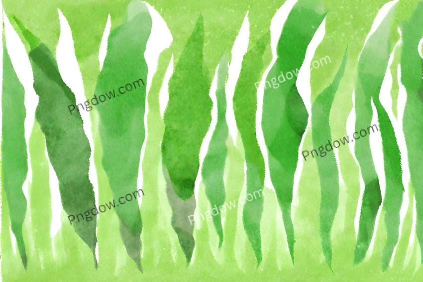 Vibrant Green Background Images for Your Design Projects