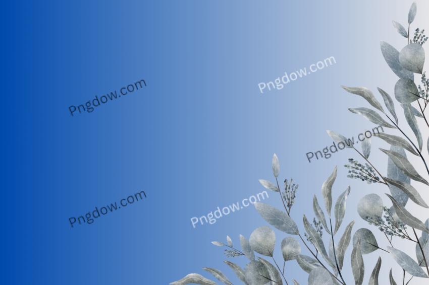 blue background flower download