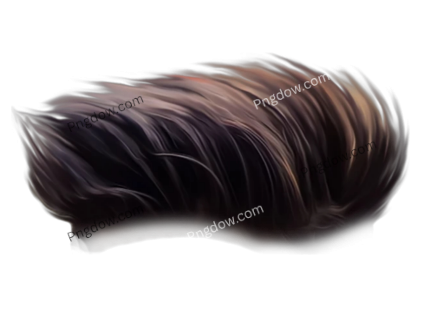 boy hair png