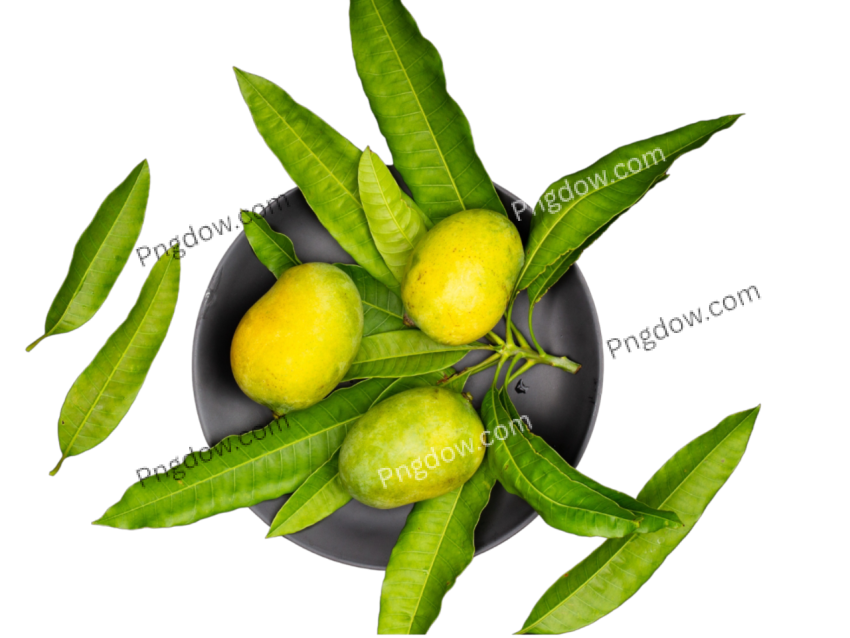 green mango png