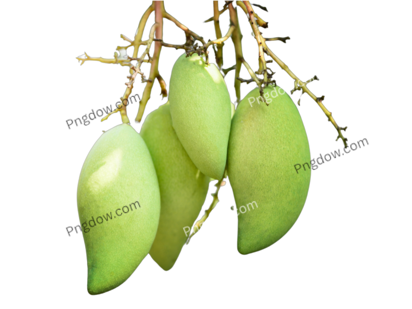 4 piece mango png