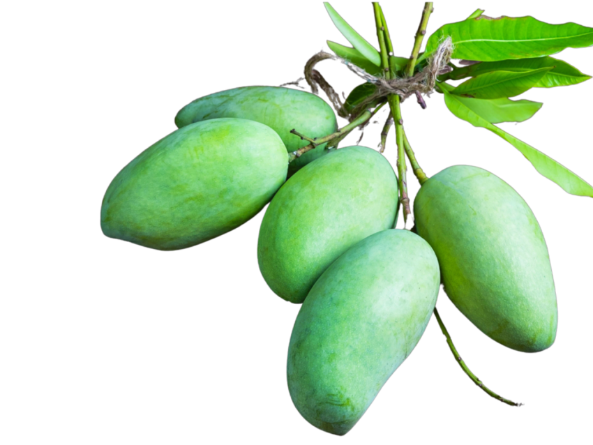 green mango png transparent background
