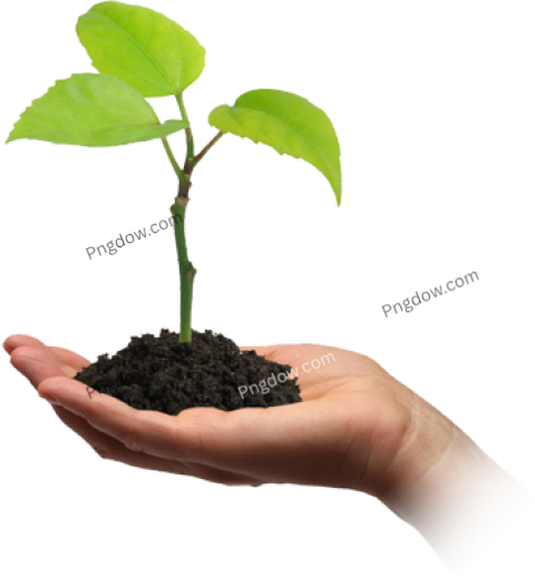Soil PNG