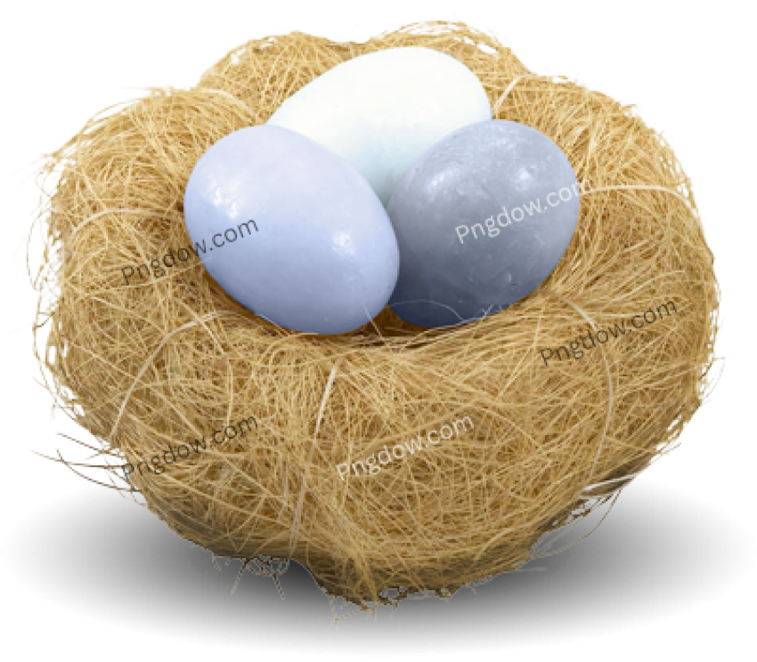 Nest png black and white