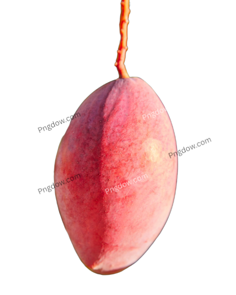 mango pink png