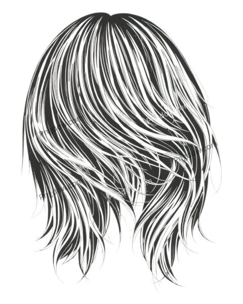 black and white hair png