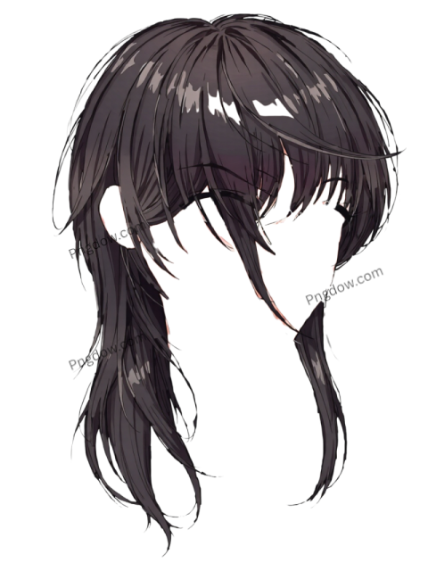 cartoon hair png