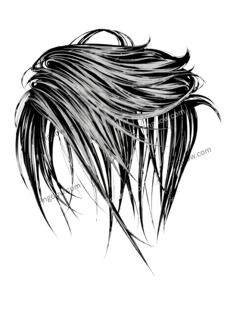 PNG images for hairstyles