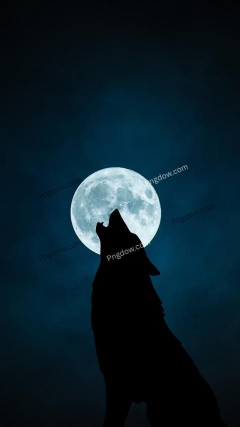 Dark Blue Illustrated Wolf Moon Phone Wallpaper