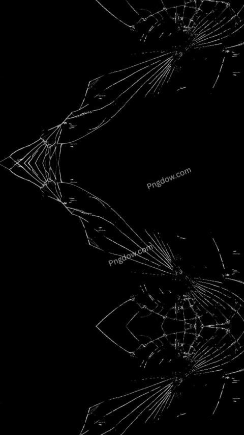 Monochromatic spider web on black wallpaper