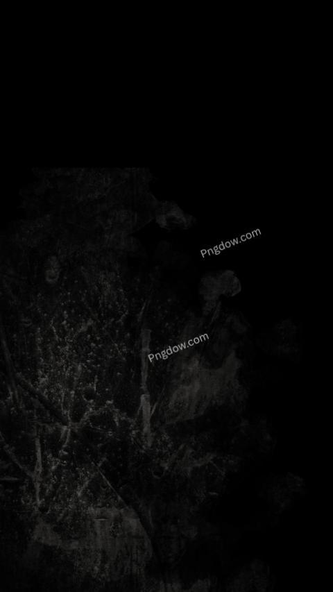 A black and white photo of a tree silhouetted against a dark wallpaper