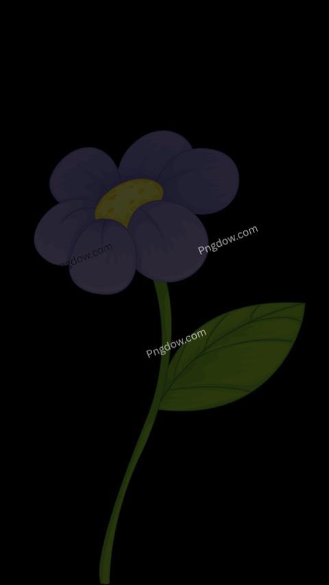A purple flower with green leaves on a black background wallpaper