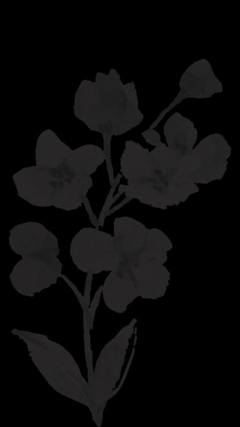 A monochrome drawing of a flower on black wallpaper