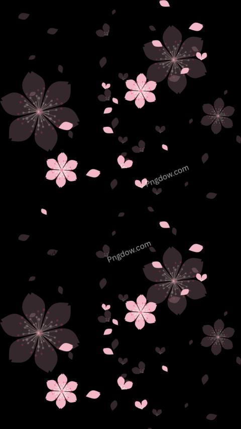 Pink flowers on black wallpaper