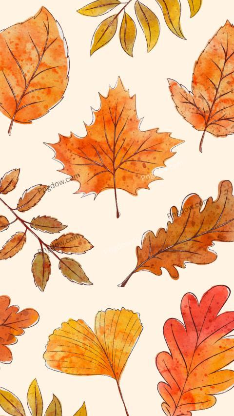 Cute fall wallpaper free