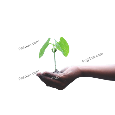 High Quality Soil PNG Image with Transparent Background for Versatile Use
