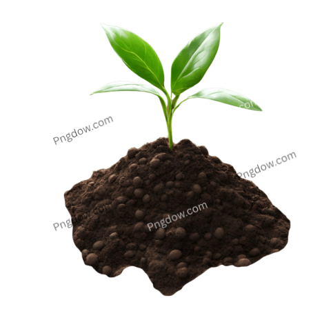 Soil transparent background images
