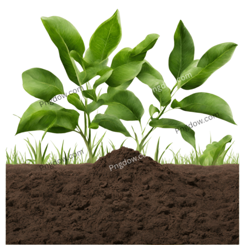 High Quality Soil PNG Image with Transparent Background
