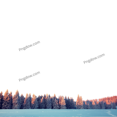 High Quality Winter PNG Image with Transparent Background for Versatile Use