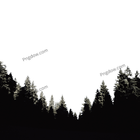 Winter illustration PNG transparent