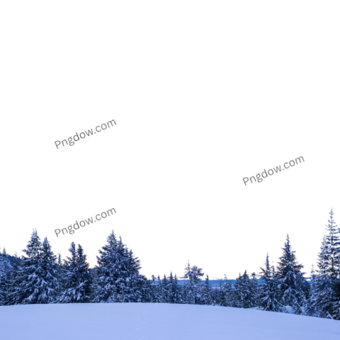 Download Stunning Winter PNG Image with Transparent Background
