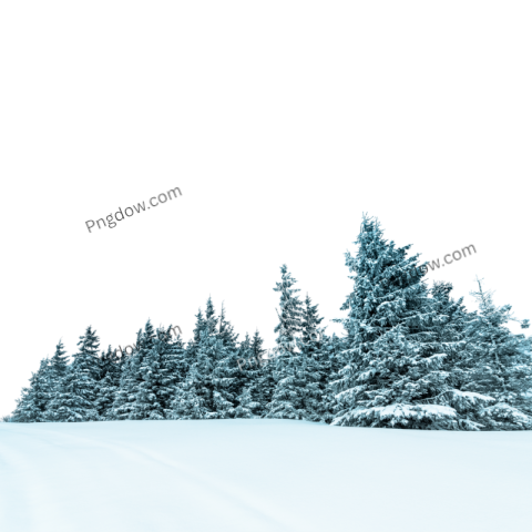 Stunning Winter PNG Image with Transparent Background Download Now
