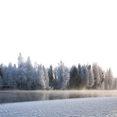 Exclusive Winter PNG Image with Transparent Background Download Now!