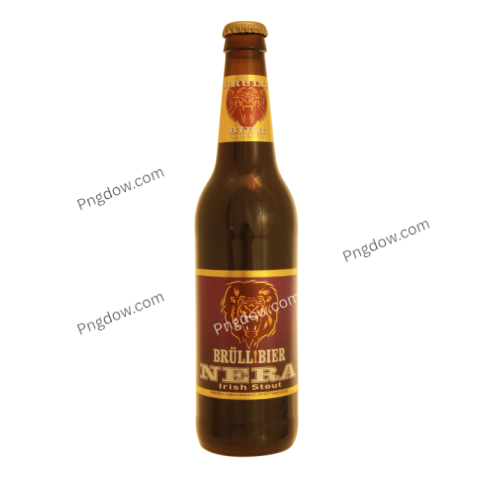 Beer illustration PNG