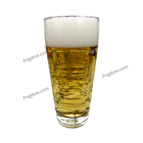 Beer illustration PNG for free