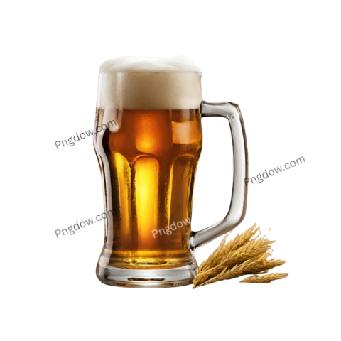 How can I use Beer illustrations in my design projects