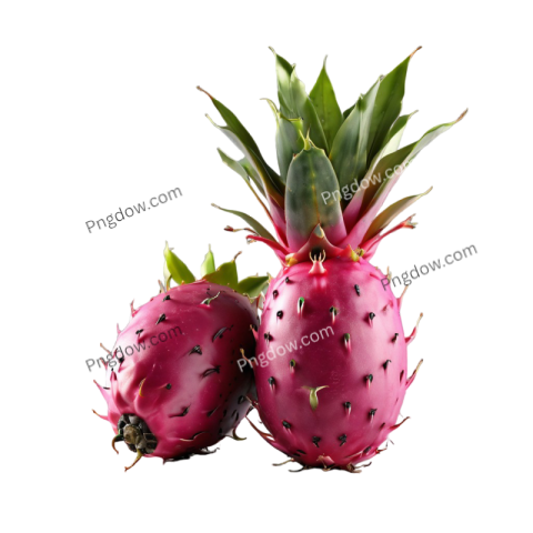 Stunning Pitaya PNG Transparent Background Images for Your Projects