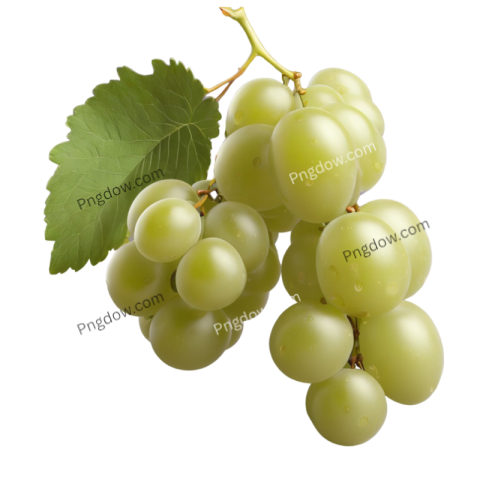 High Quality Green Grape PNG Images for Your Projects