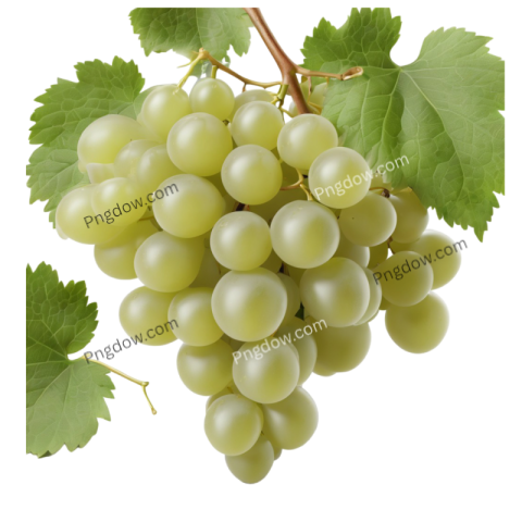 Download High Quality Free Green Grape PNG Image