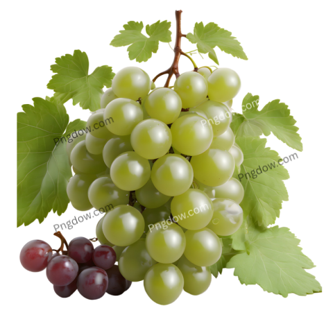 Vibrant Green Grape PNG