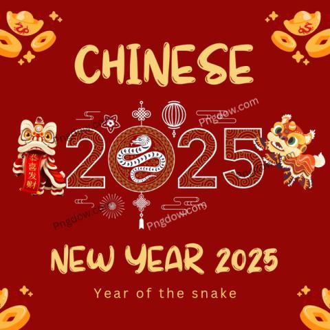 chinese new year 2025, vector SVG Instagram Post