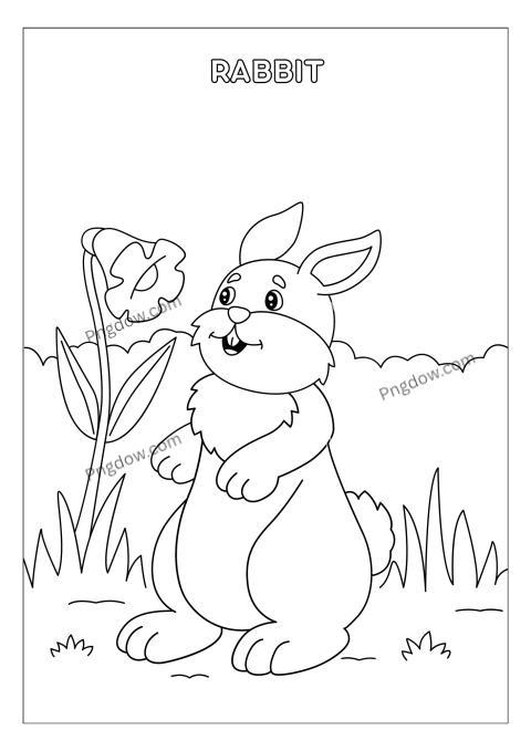 Rabbit Coloring Page for Kids