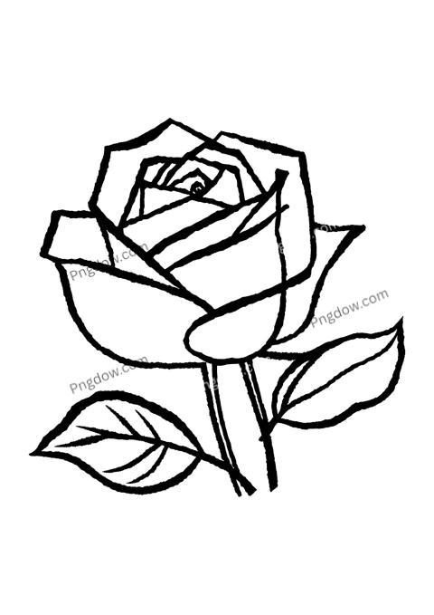 A black and white flower drawing of a rose on a white background