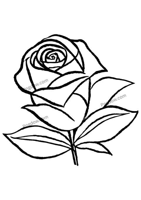 A black and white rose coloring page with a single rose, flower drawing