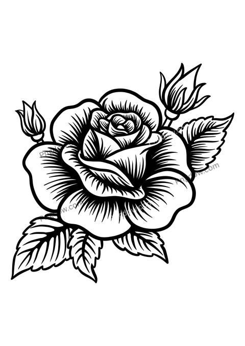 Monochrome rose sketch on flower drawing page