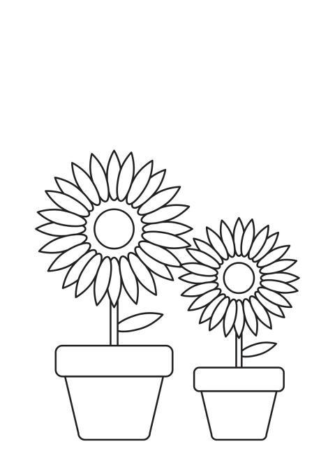 Sunflower coloring pages for kids featuring a beautiful sunflower drawing