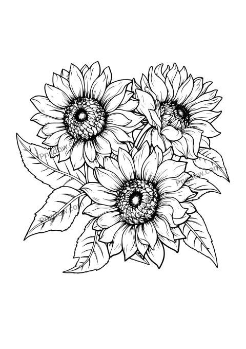 Sunflower drawing coloring page with intricate details for relaxing and creative coloring fun